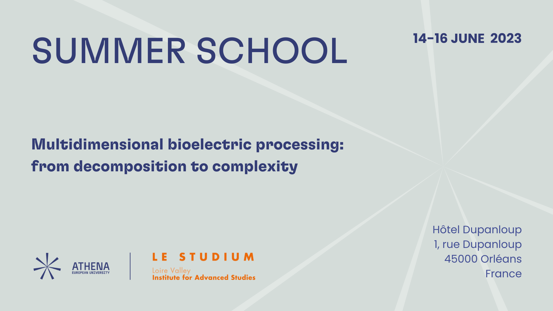 Multidimensional bioelectric processing: from decomposition to complexity