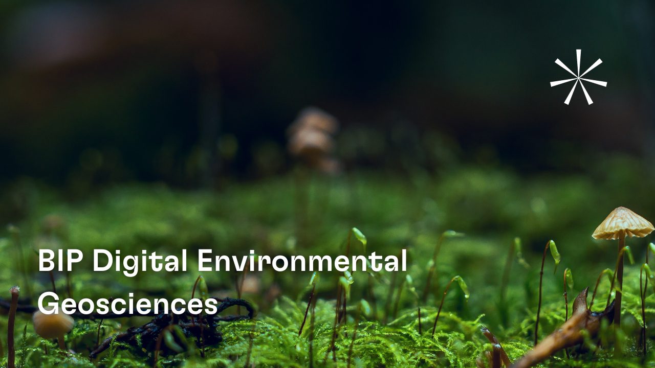 BIP Digital Environmental Geosciences